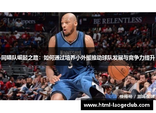 同曦队崛起之路：如何通过培养小外援推动球队发展与竞争力提升