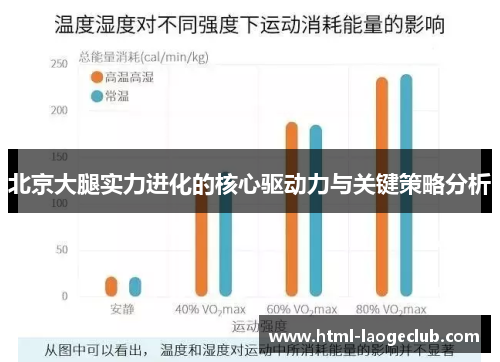北京大腿实力进化的核心驱动力与关键策略分析