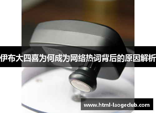 伊布大四喜为何成为网络热词背后的原因解析