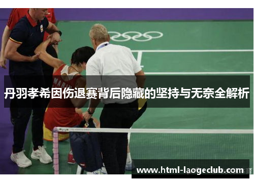 丹羽孝希因伤退赛背后隐藏的坚持与无奈全解析