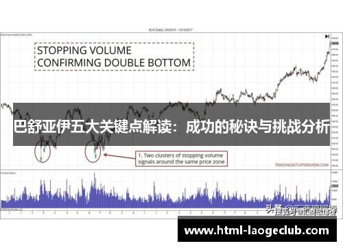 巴舒亚伊五大关键点解读：成功的秘诀与挑战分析
