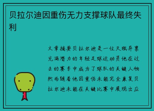 贝拉尔迪因重伤无力支撑球队最终失利